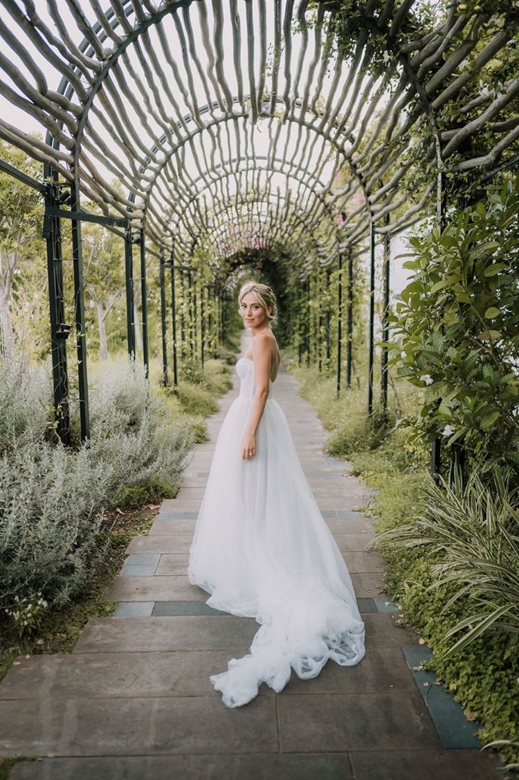 צילום: אלון גרובר