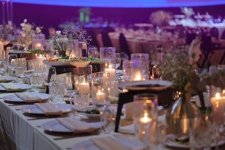 צילום: שי אסייג