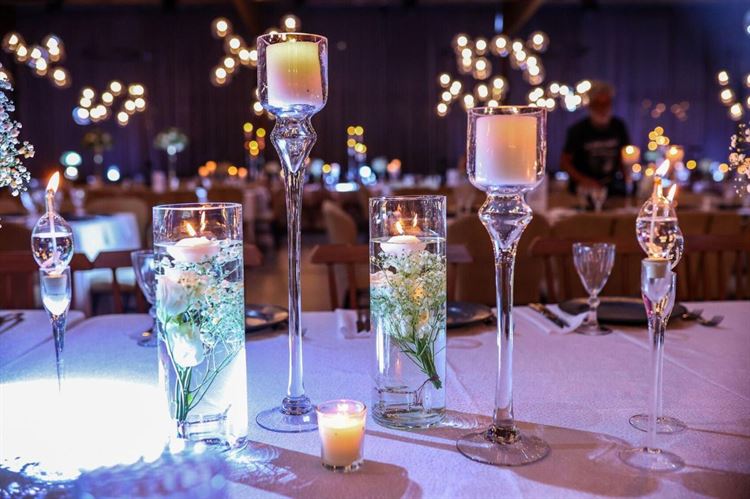 צילום: פפראצי