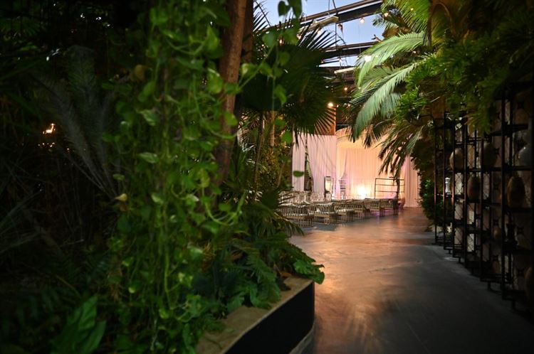 צילום: דורון רפאל