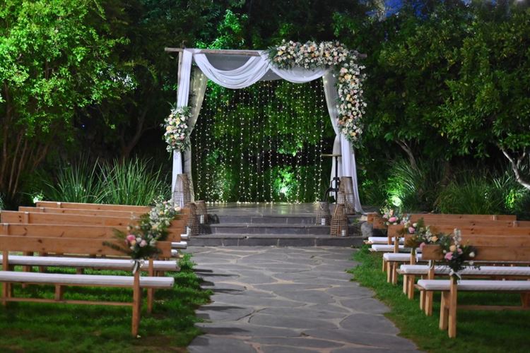 צילום: ברנז'ה צלמים