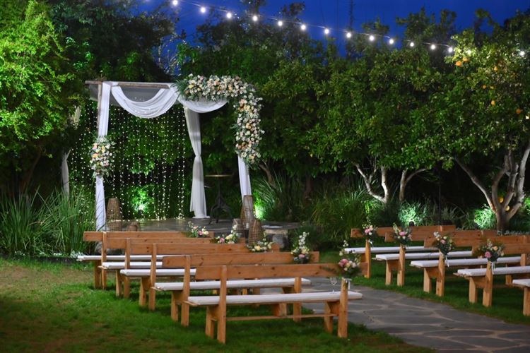 צילום: ברנז'ה צלמים