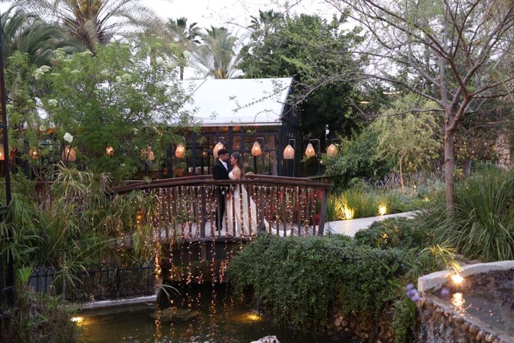 צילום: ברנז'ה צלמים