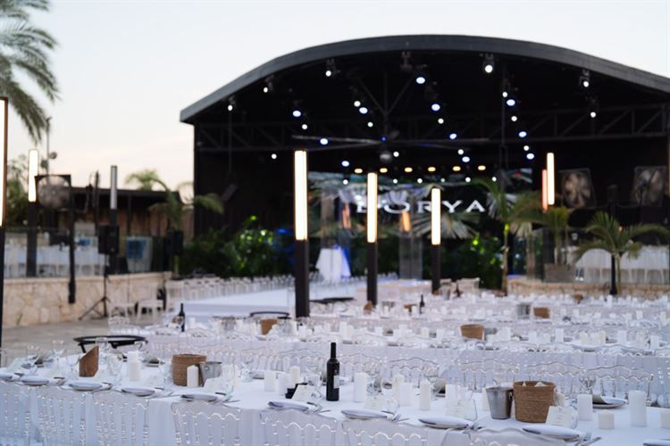 צילום: אור שדה (ברנדו)