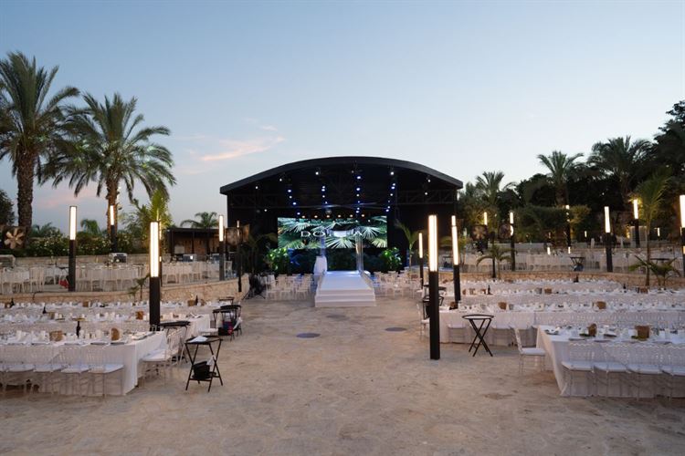 צילום: אור שדה (ברנדו)