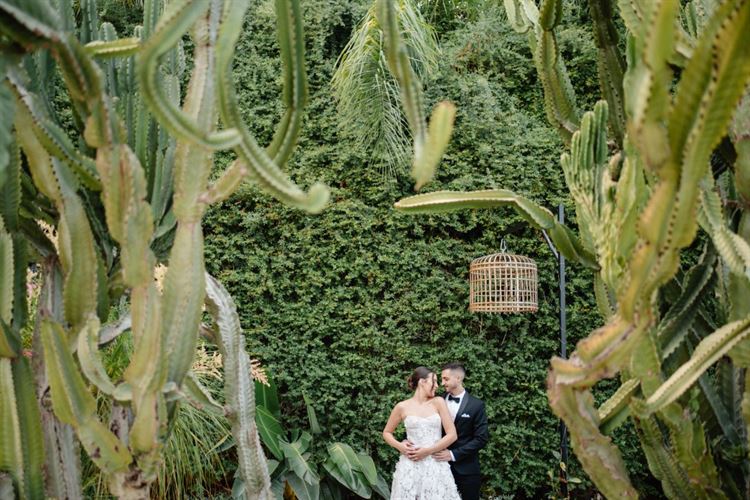 צילום: גיא ניסים