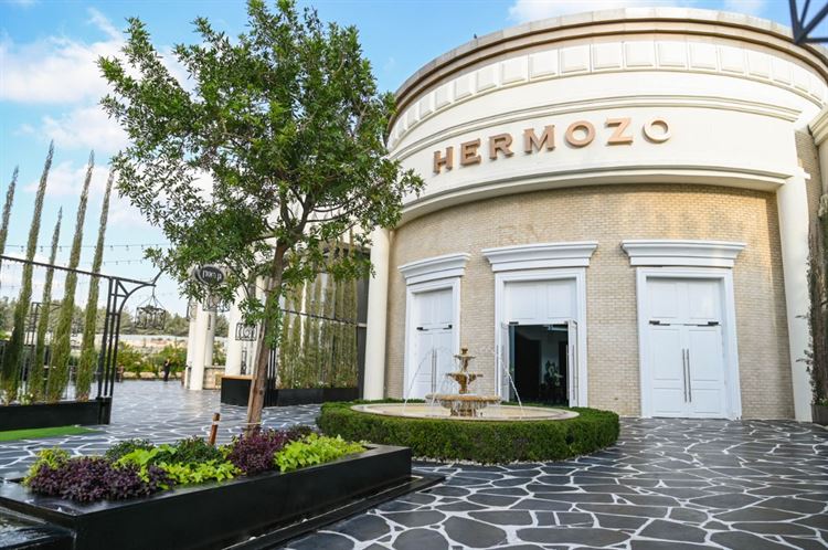 צילום: וואלה מזל טוב