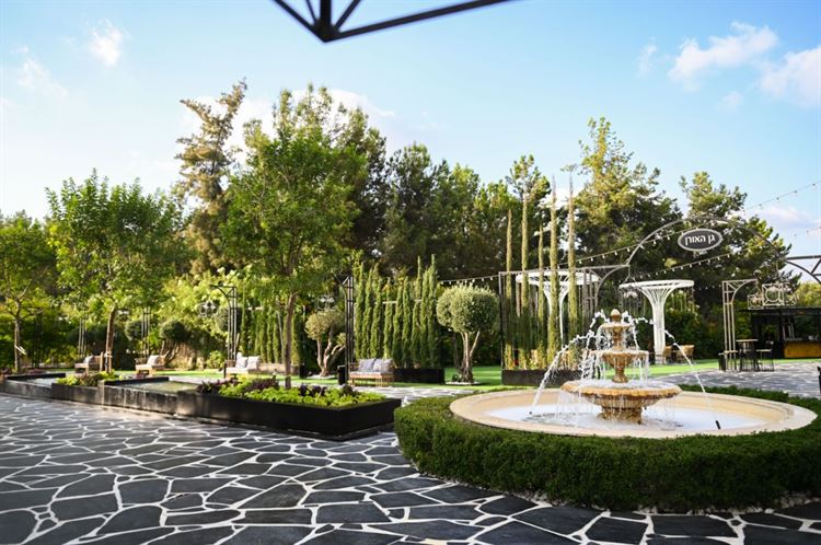 צילום: וואלה מזל טוב