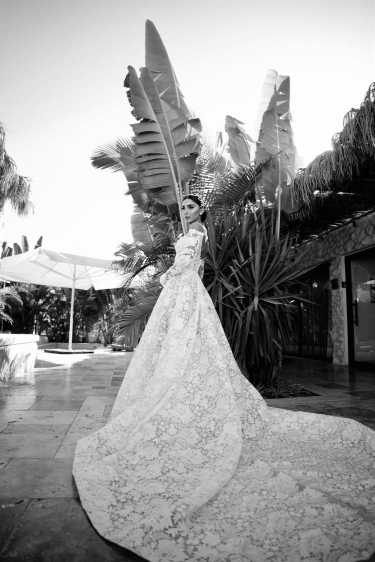 צילום: שי שושן גואטה