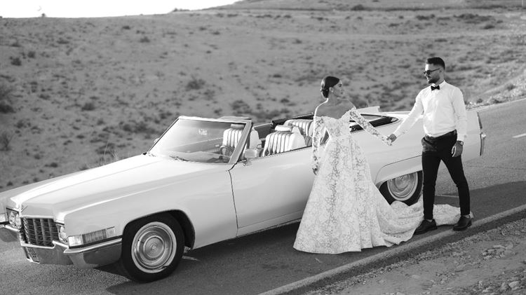 צילום: שי שושן גואטה