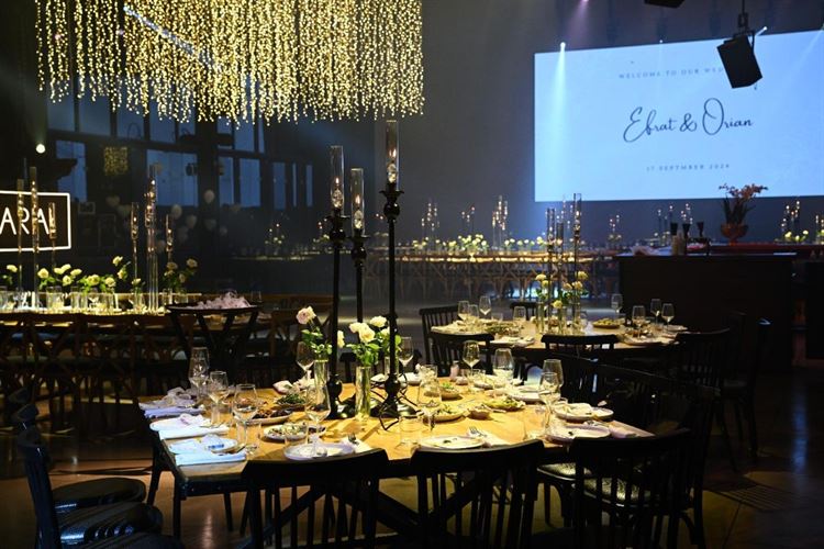 צילום: טל אקוקה