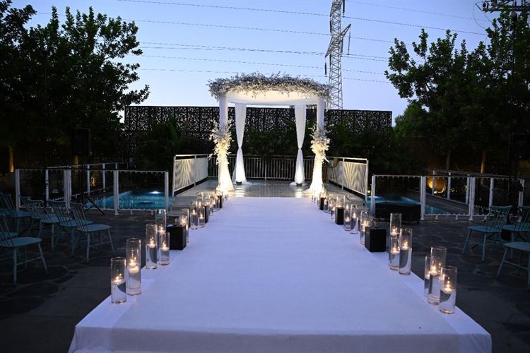 צילום: טל אקוקה