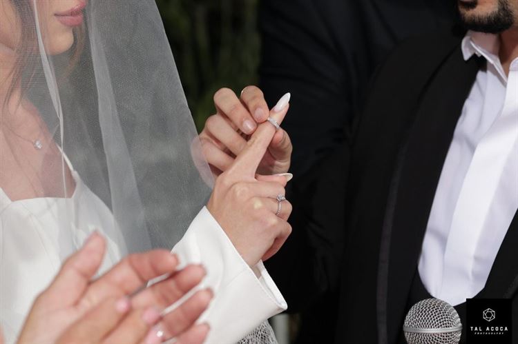 צילום: טל אקוקה