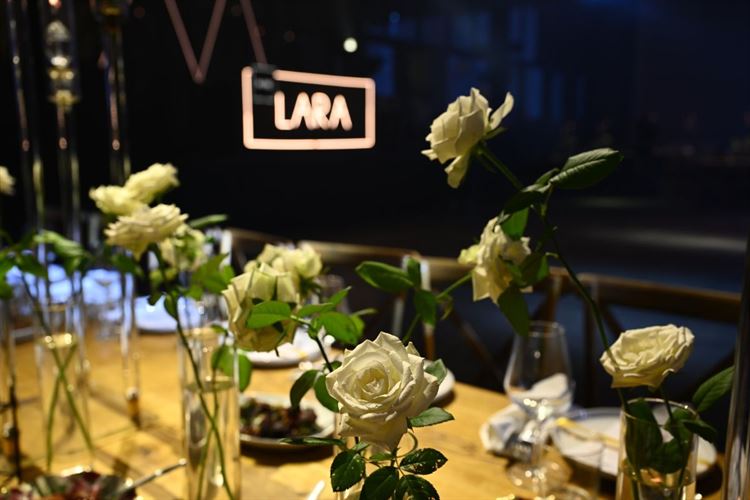 צילום: טל אקוקה