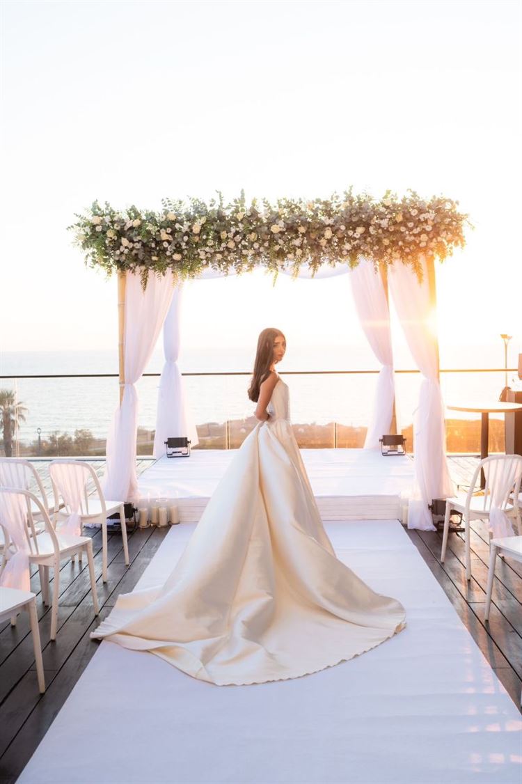 צילום: אלון גרובר