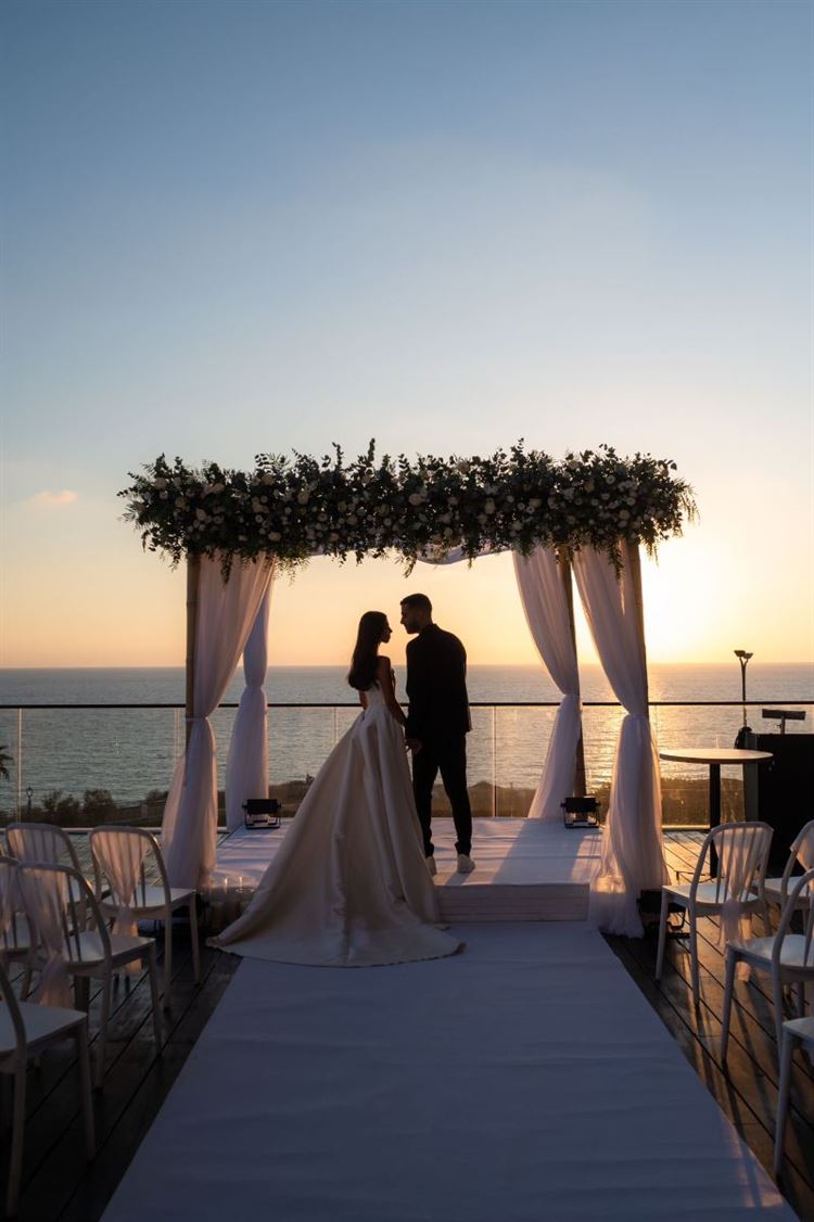 צילום: אלון גרובר