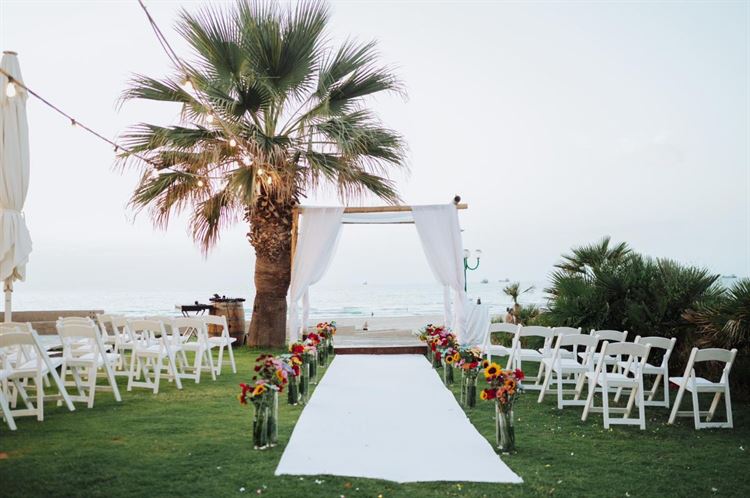 צילום: אביב שוויקה