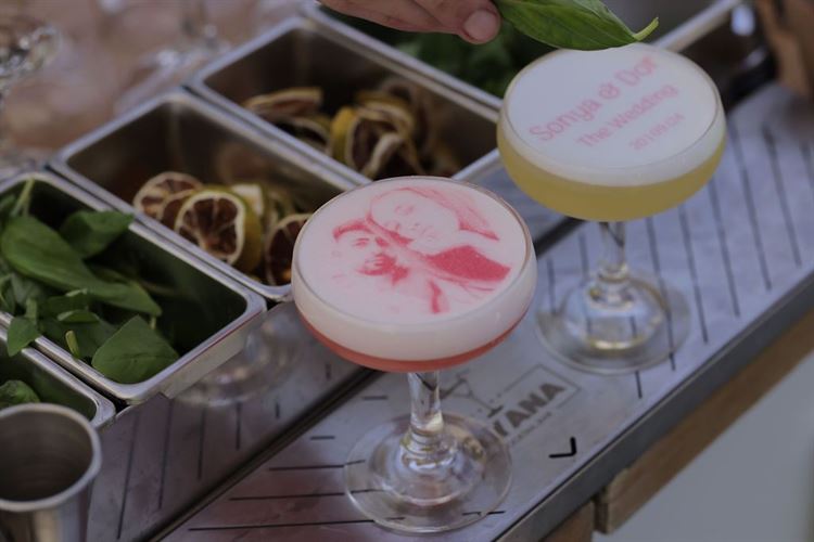 צילום: נתי סקרה