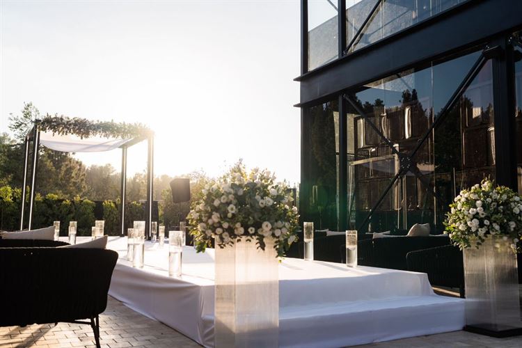 צילום: ליאור דהרי