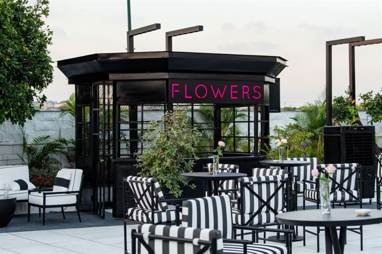 צילום: וואלה מזל טוב