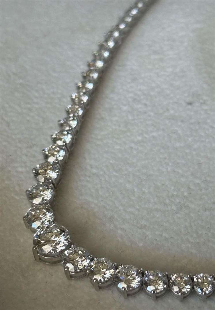 צילום: שי שושן גואטה