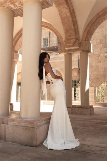 ג'ולי וינו Mimosa