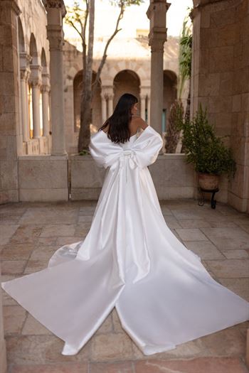ג'ולי וינו Mimosa