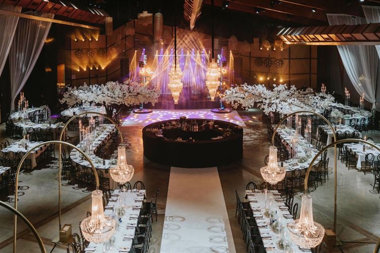 צילום: עידו סיטבון