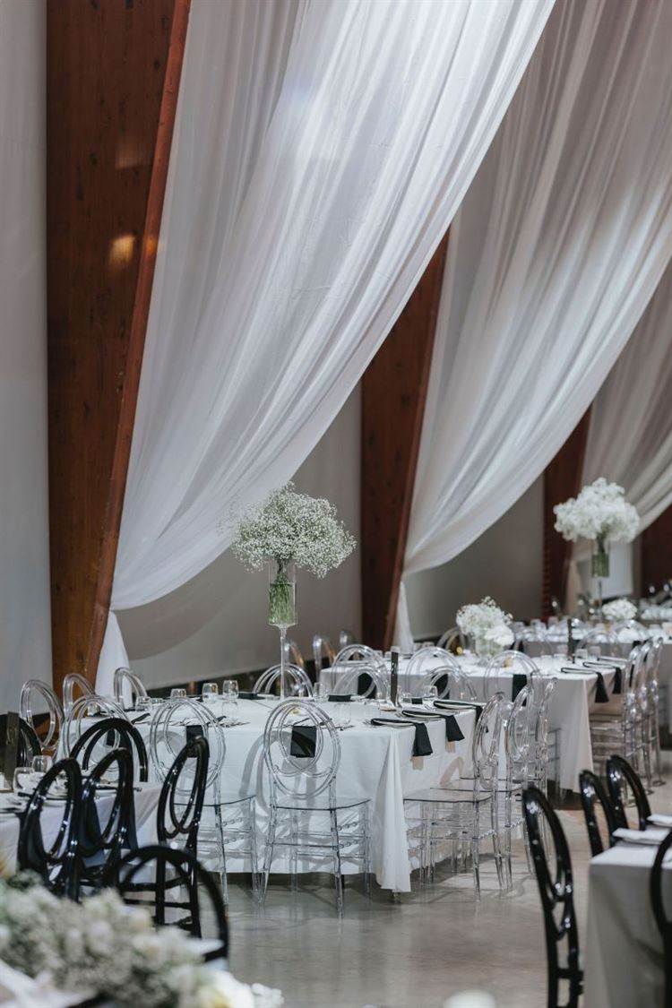 צילום: עידו סיטבון