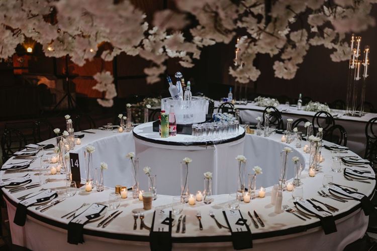 צילום: עידו סיטבון