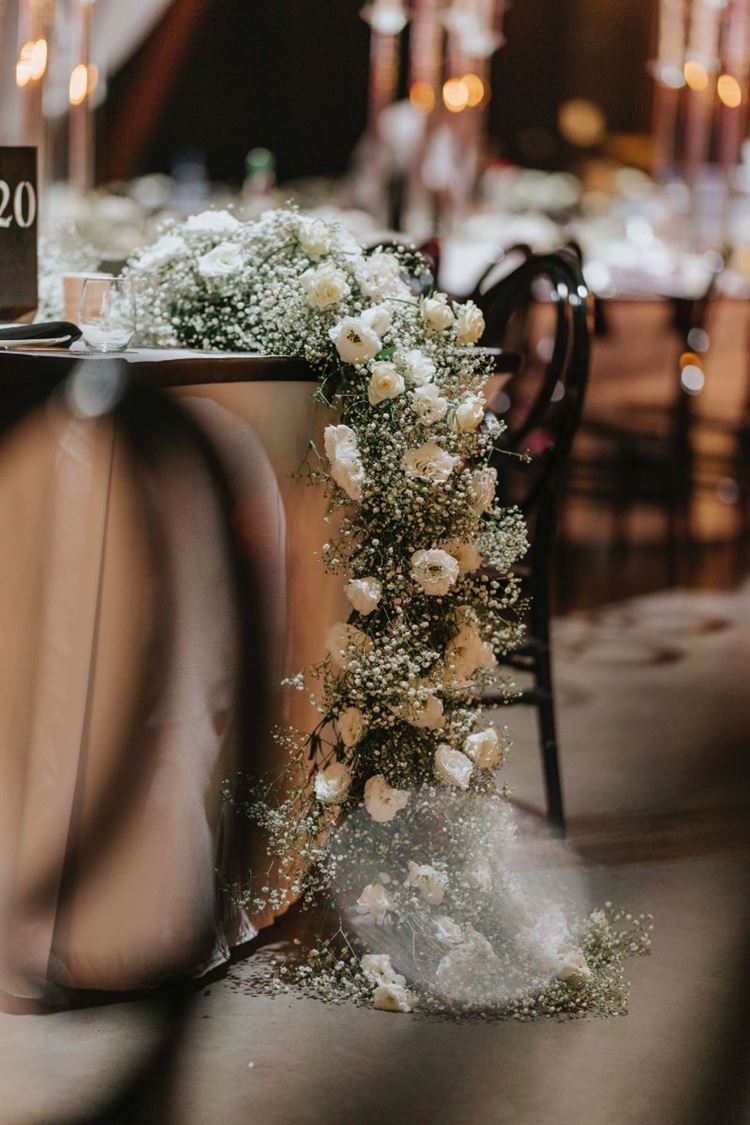 צילום: עידו סיטבון