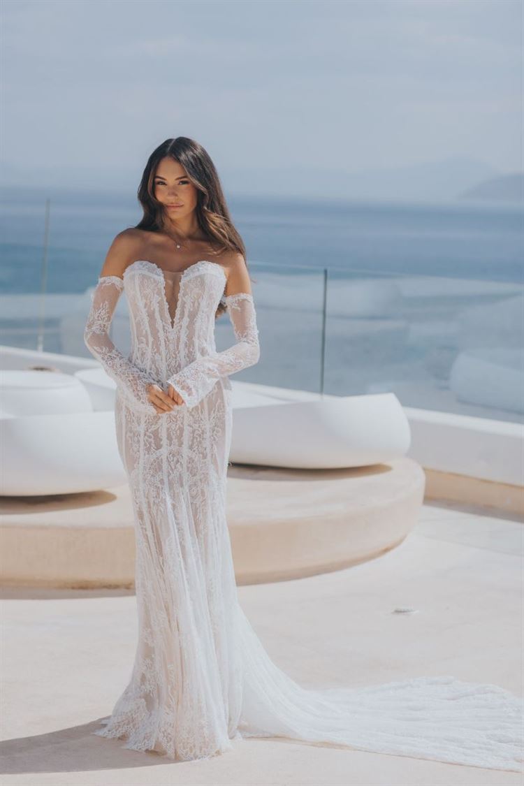 צילום: עידן חסון