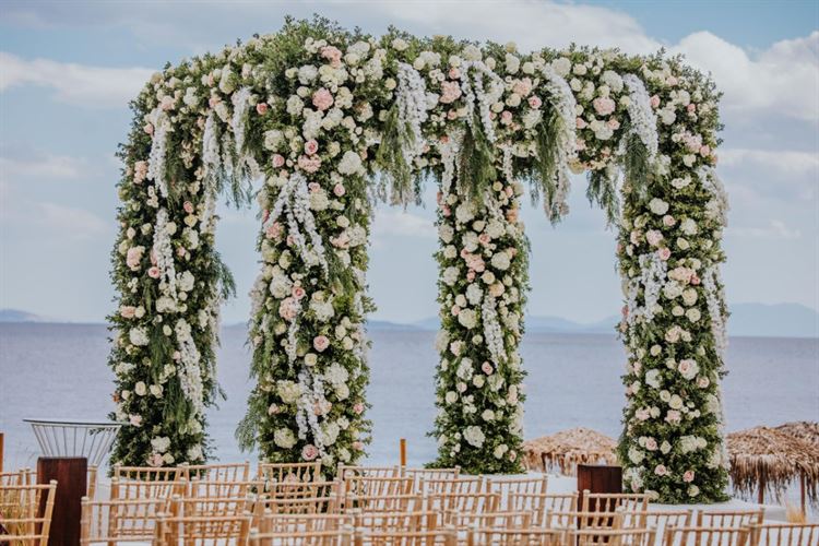 צילום: עידן חסון