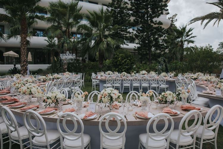 צילום: עידן חסון