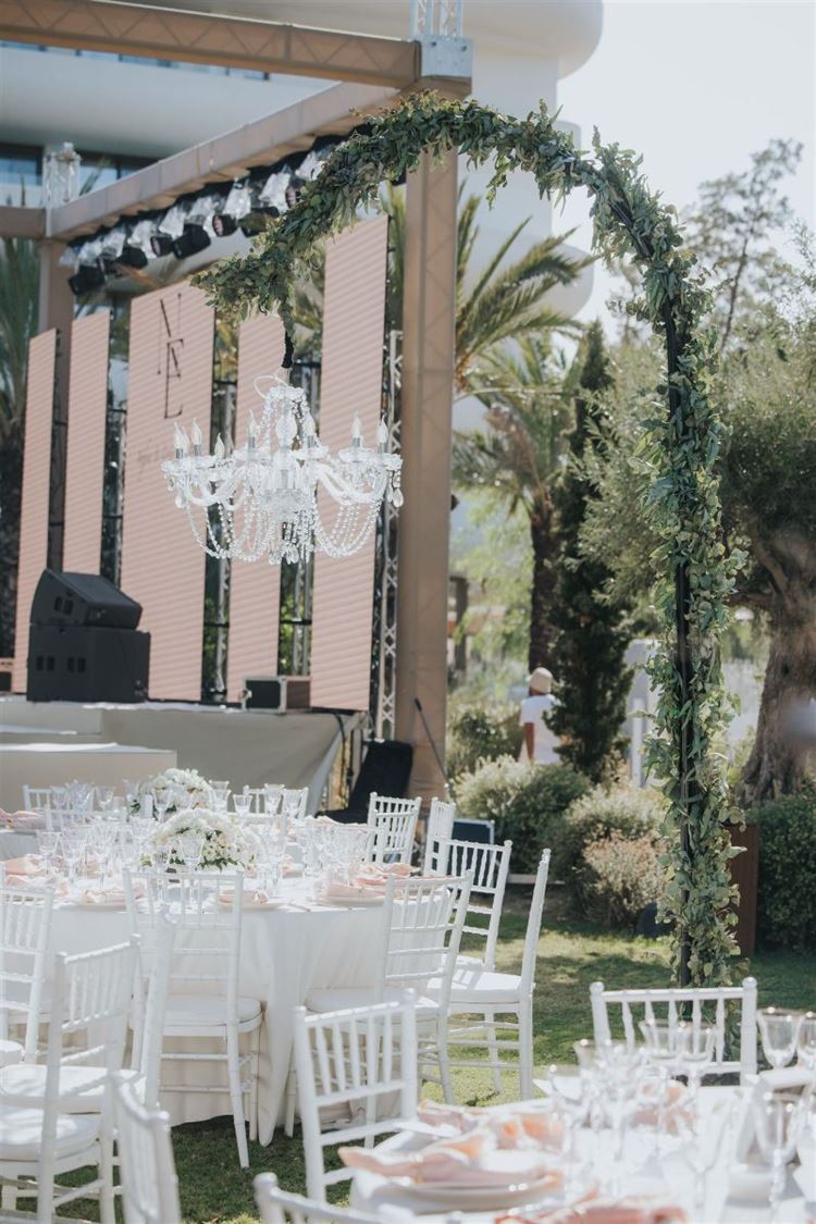 צילום: עידן חסון