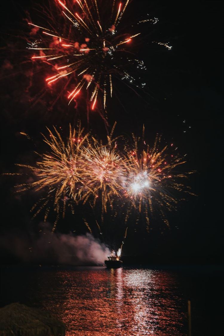 צילום: עידן חסון