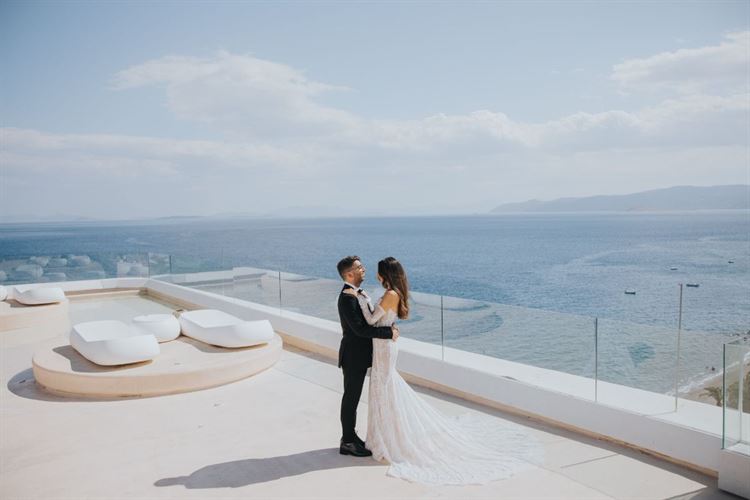 צילום: עידן חסון