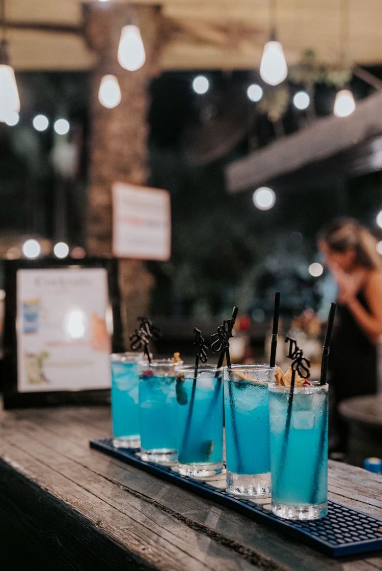 צילום: עידו סיטבון