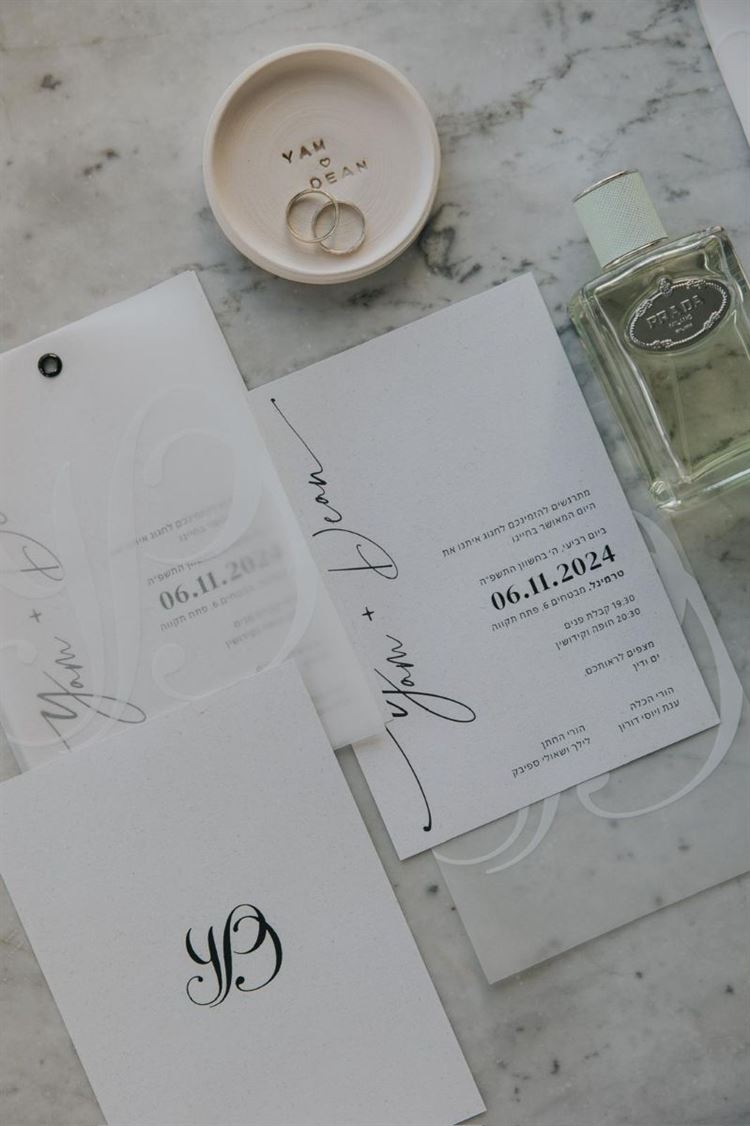 צילום: עידן חסון