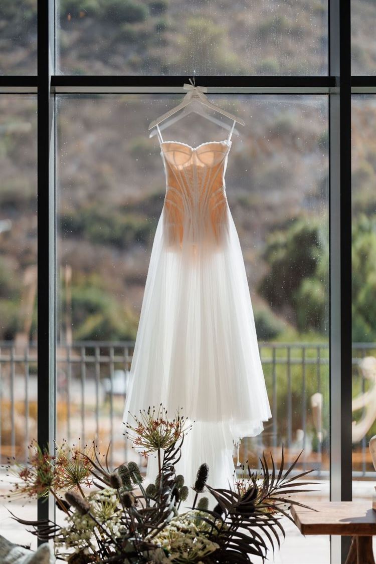 צילום: עדי עמרן