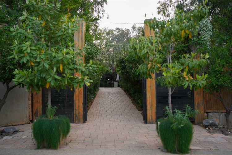 צילום: אורי חיון