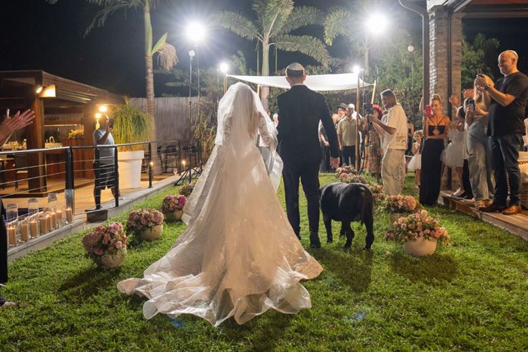 צילום: חיים אפריאט