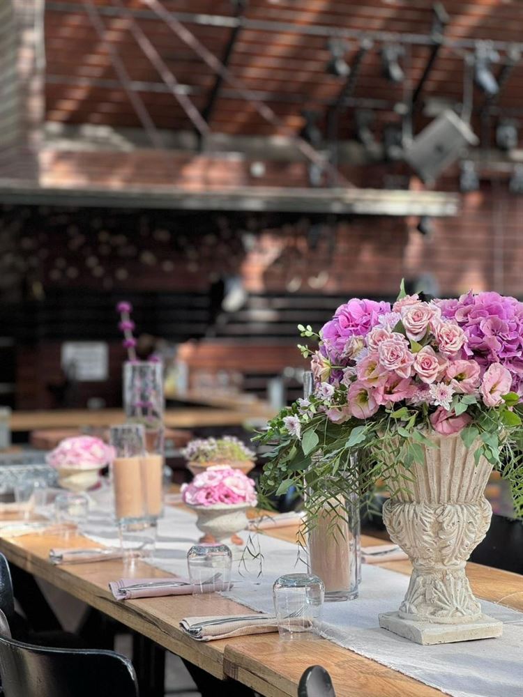 צילום: חיים אפריאט