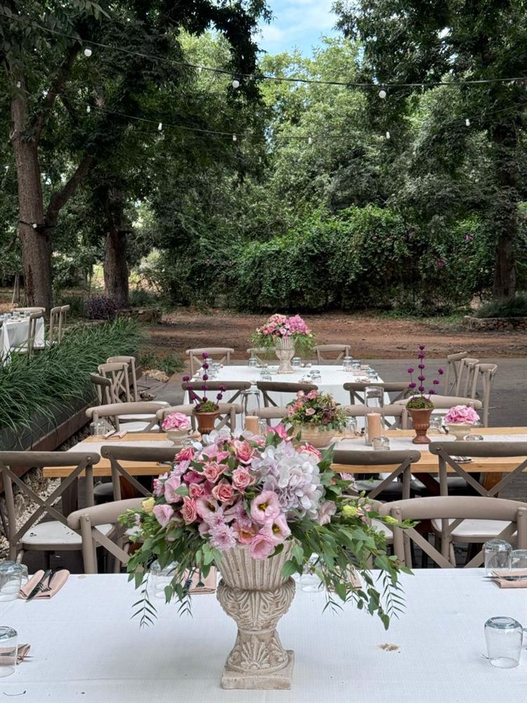 צילום: חיים אפריאט