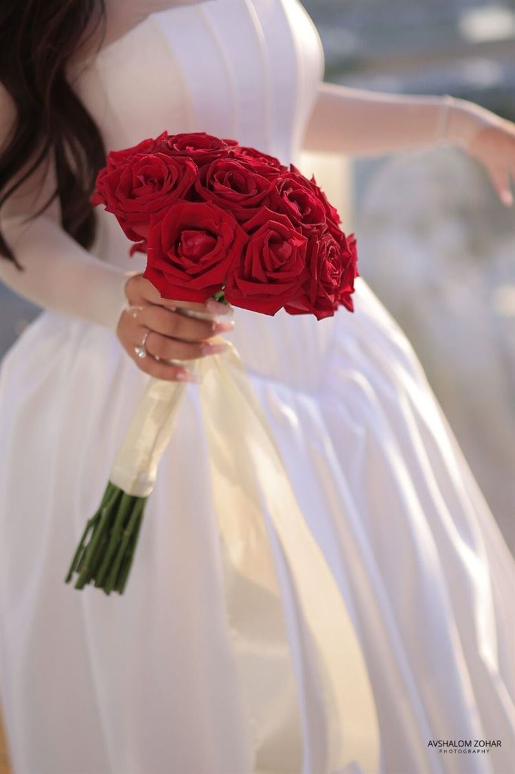 צילום: אבשלום זוהר