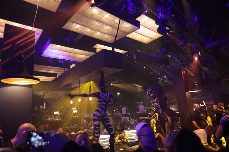 צילום: אבשלום זוהר