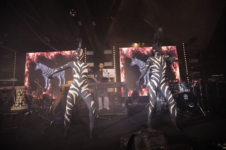 צילום: אבשלום זוהר