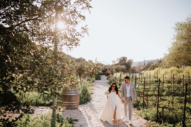 צילום: אורן סונגו