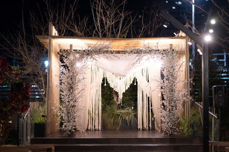 צילום: אורן סונגו