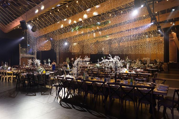 צילום: אורן סונגו